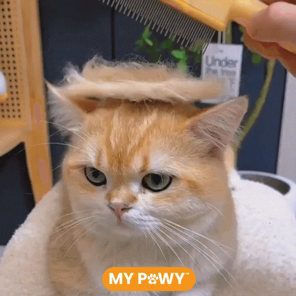 PawBrosse™ PRO | Brosse Anti-Poils Confort