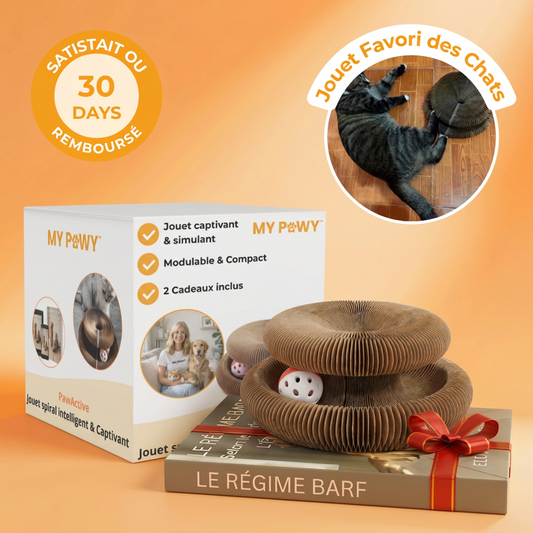 PawActive™ | Jouet spiralé intelligent pour chat