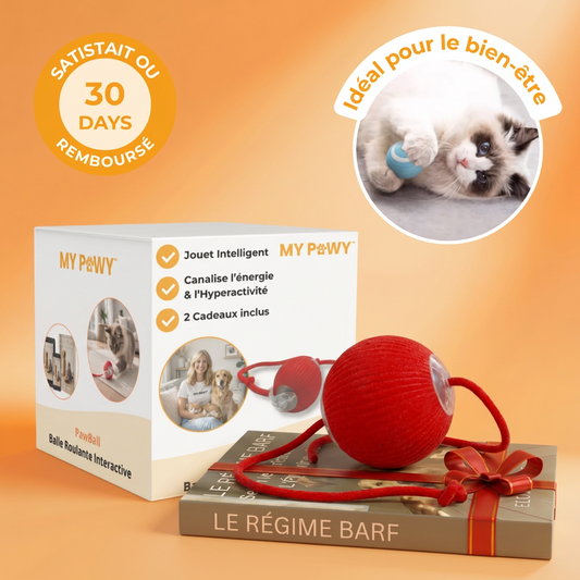 PawBall™ – Balle Roulante Interactive